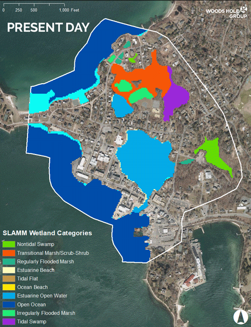 Up to 50 acres of upland in Woods Hole, MA study area could transition to coastal wetland by end of century.